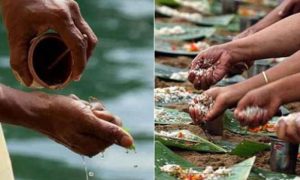Shraddh period ( Pitrupaksha) starts from 10th September – 25th September , what to do during Shraddh period, how to perform Tarpan, what to avoid during Shraddh phase…… Shraddh Significance , rituals , remedies